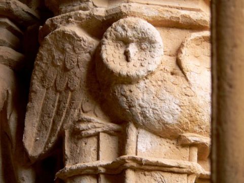 1024px-Santes_Creus_Cloister_Owl_2