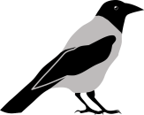 Crow