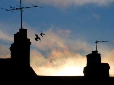 Thursday Prompt Challenge 5-6-17