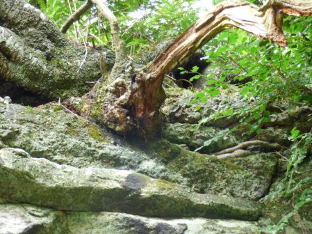 Wales llandudno, alderley, mines, 253