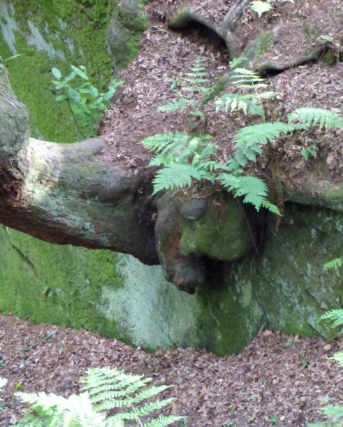 Wales llandudno, alderley, mines, 269