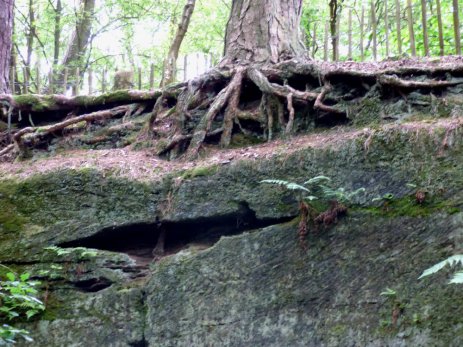 Wales llandudno, alderley, mines, 273