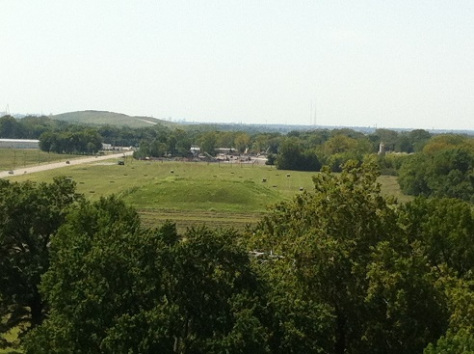 Cahokia view