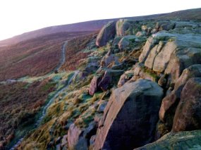 Dawn over the Cow and Calf