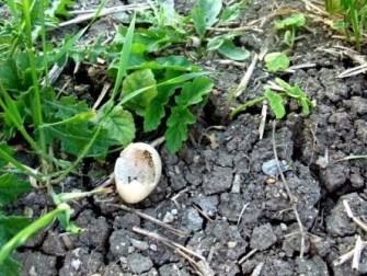 -JL-zjCDioFeHtPurBzqQoaYTE6jBNSFf5eFNZOxnOZ1E_P8zGiPz2kvit9svysV1xkr5iiWXdib9XHfj-Oi0xxdYOE05cRyhmXsZDbhsG93j_UrZHaRDZ0p=w1200-h630-p-k-no-nu (1)