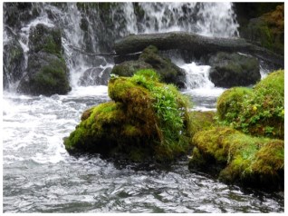 CCC11C0E-A1BF-4F1F-B58E-5F7FA04C7953