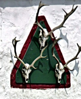 E46FDEF0-53D9-480E-A3CE-D15234A2DBDF