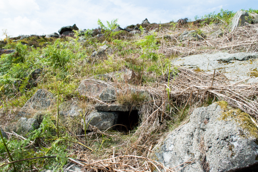 Fairy Mine Ilkley