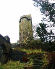 E6368FA5-31E7-4A4B-9470-B9D0D2C0F3AB