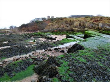 Sue Vincent #writephoto Ebb
