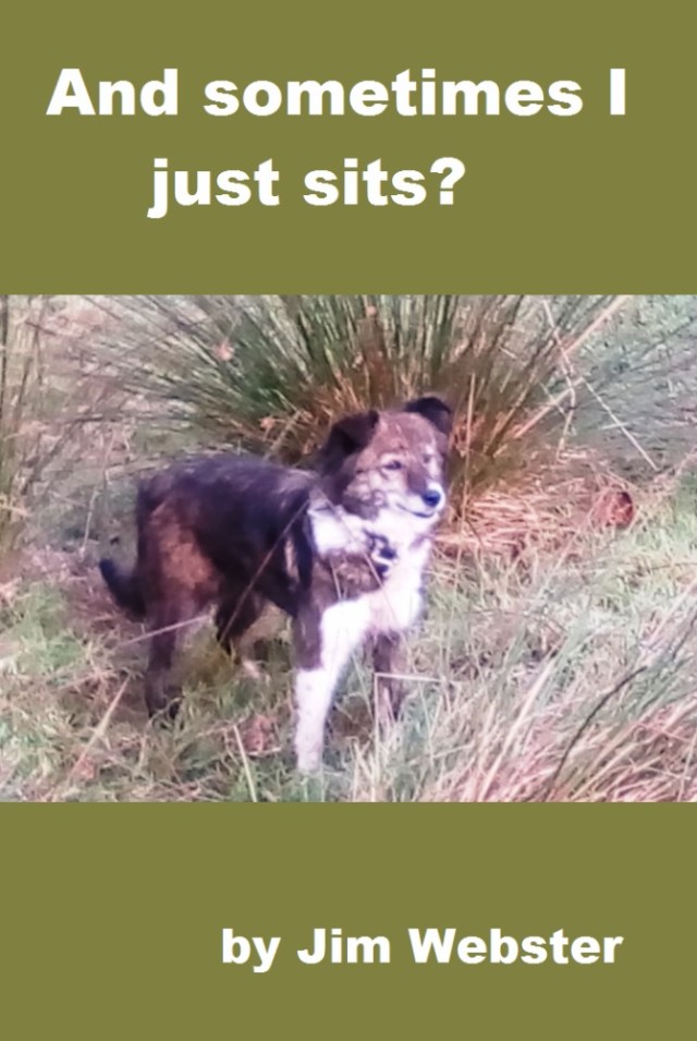 And sometimes I just sits