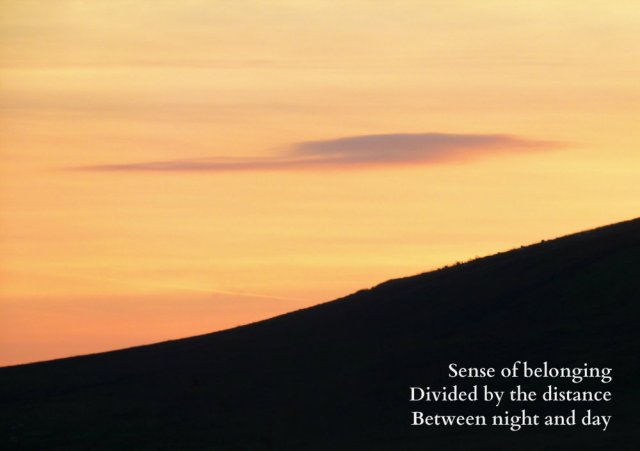 sunset silhouette scvincent.com