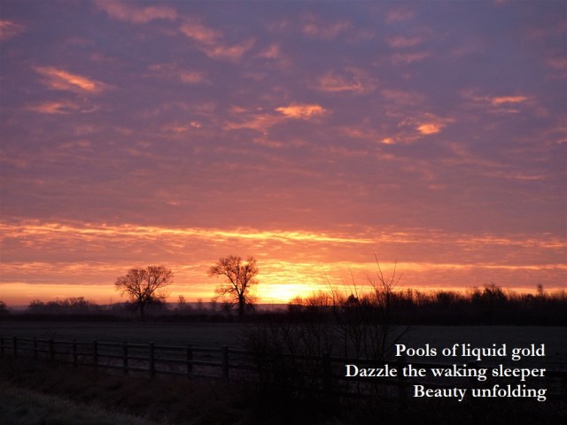 Pools of liquid gold Dazzle the waking sleeper  Beauty unfolding