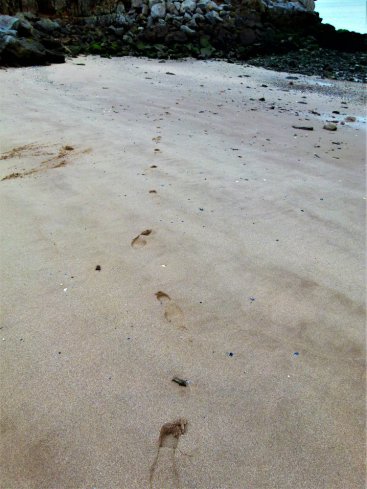 footprints