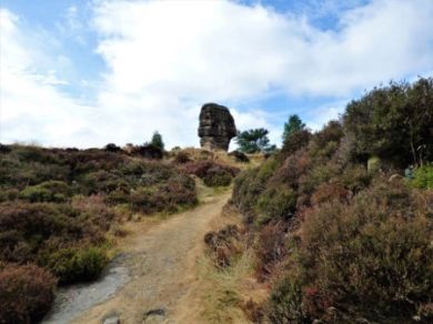 Consider Perspective