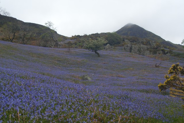 VLUU L110, M110  / Samsung L110, M110