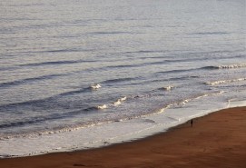 a solitary figure on a beach against a wide ocean.