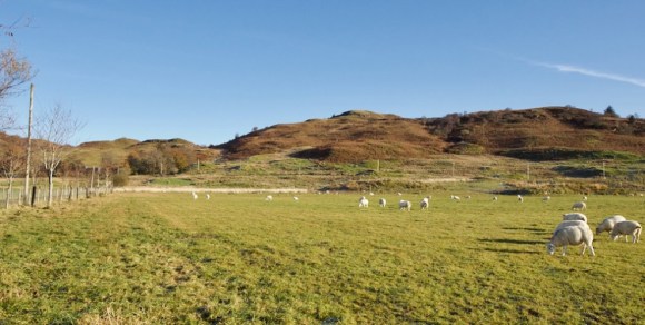 Strontoiller-crop-2 jo woolf